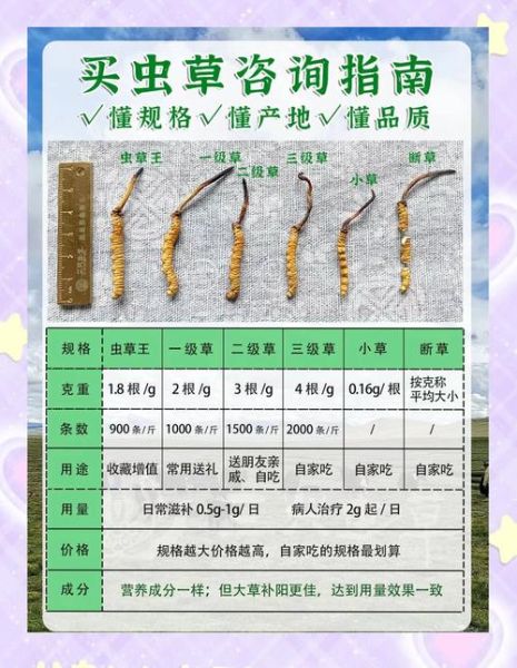 冬虫夏草多少钱一克_如何辨别真假