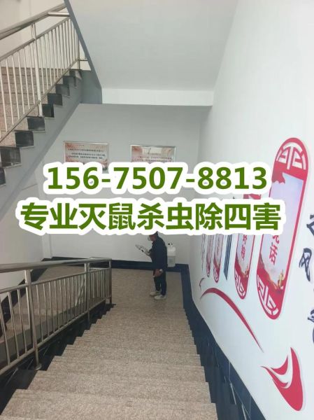 消杀公司前景怎么样_消杀公司赚钱吗