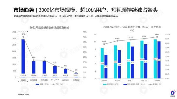 互联网视频行业分析报告_2024年用户增长趋势