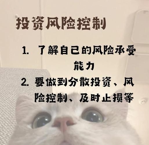 行业投资风险有哪些_如何降低投资风险