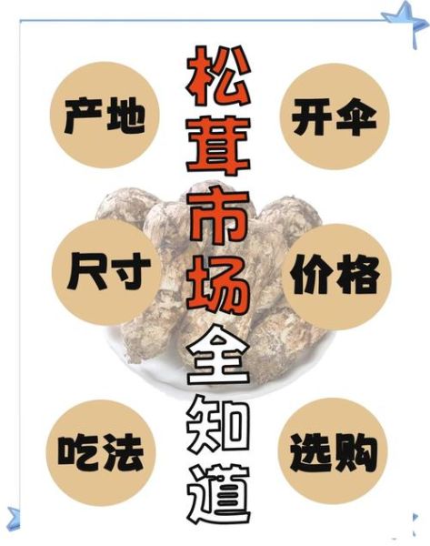 松茸价格为什么这么高_松茸市场前景如何