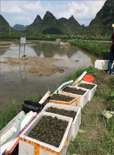 2024年农村养殖什么赚钱_小型养殖场如何起步