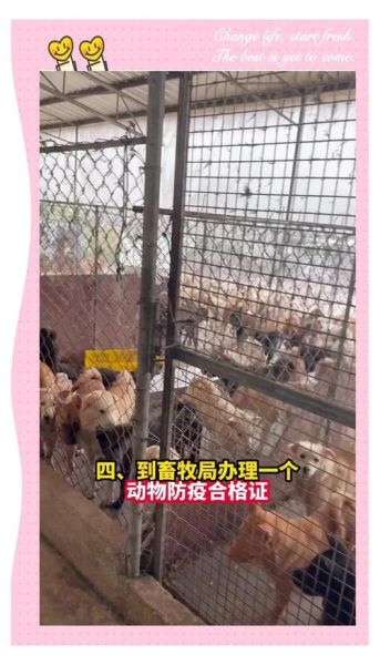 2024年农村养殖什么赚钱_小型养殖场如何起步