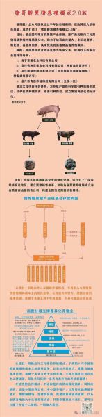 黑猪养殖赚钱吗_黑猪养殖成本利润分析