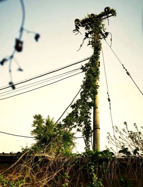 电线杆前景怎么样_电线杆未来发展趋势