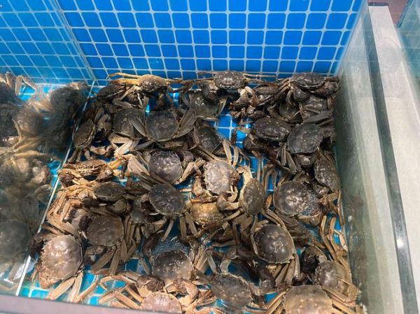 网上买海鲜哪个平台靠谱_冷冻水产品怎么挑选