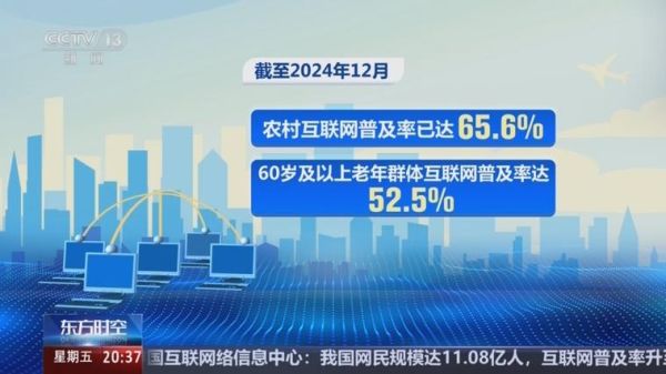 2013年中国互联网普及率_网民规模突破6亿