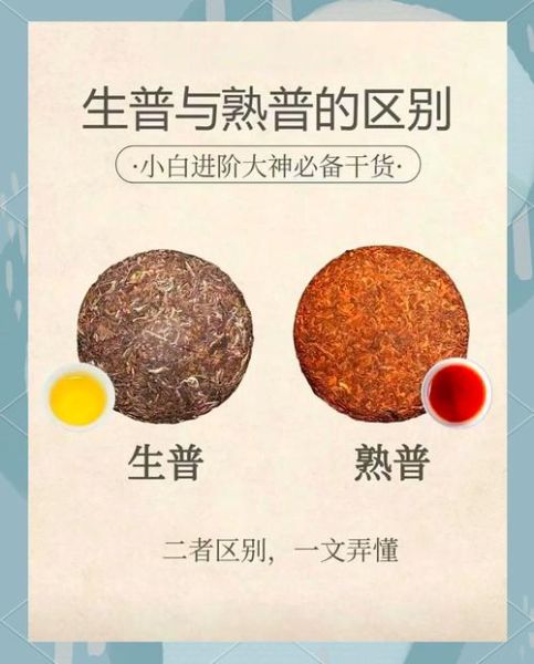 普洱茶怎么储存_普洱茶生茶和熟茶的区别