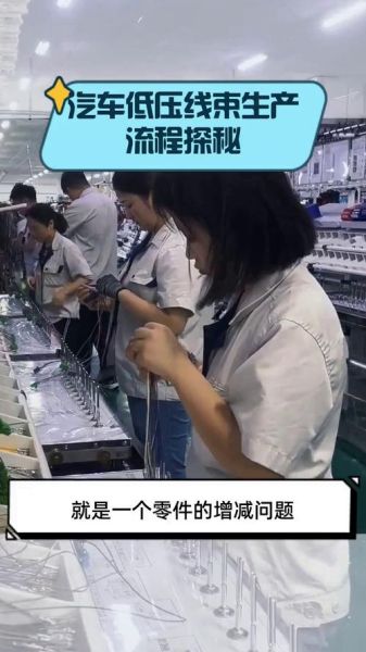 汽车线束行业前景如何_汽车线束生产工艺有哪些
