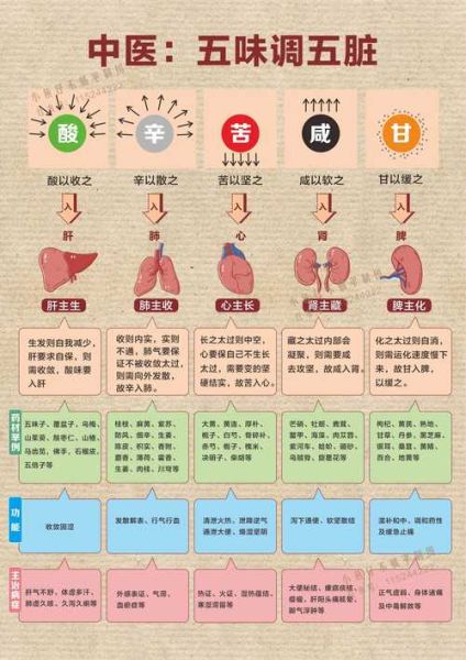 中医养生适合哪些人_中医养生有哪些方法