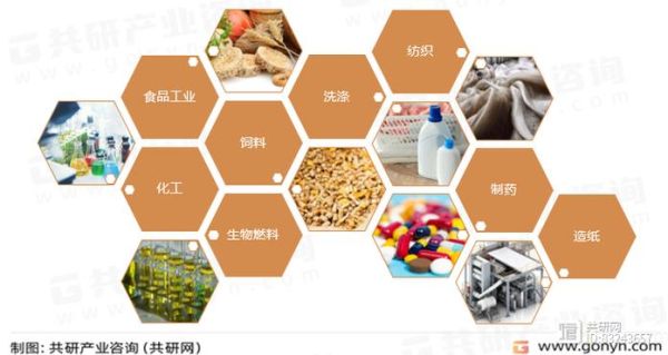 生物酶有哪些种类_生物酶在食品工业中的应用