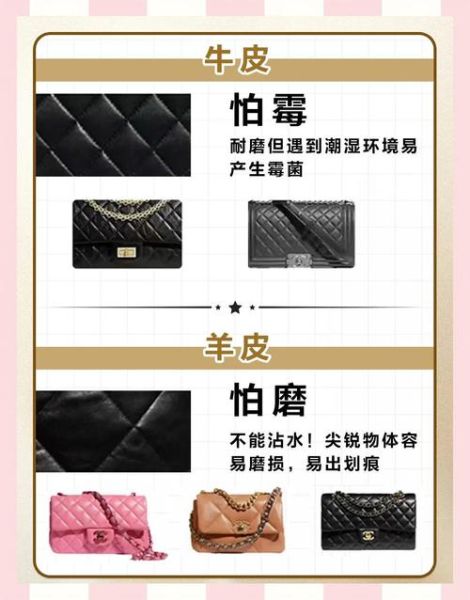 女包品牌怎么选_真皮女包如何保养