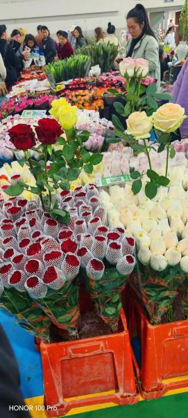 鲜切花行业前景怎么样_2024年还能赚钱吗