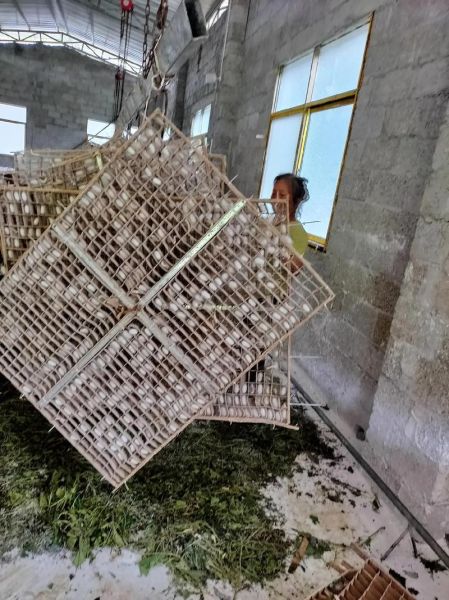 养蚕赚钱吗_2024年养蚕前景如何