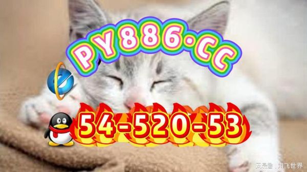 互联网彩票团彩是什么_团彩玩法靠谱吗