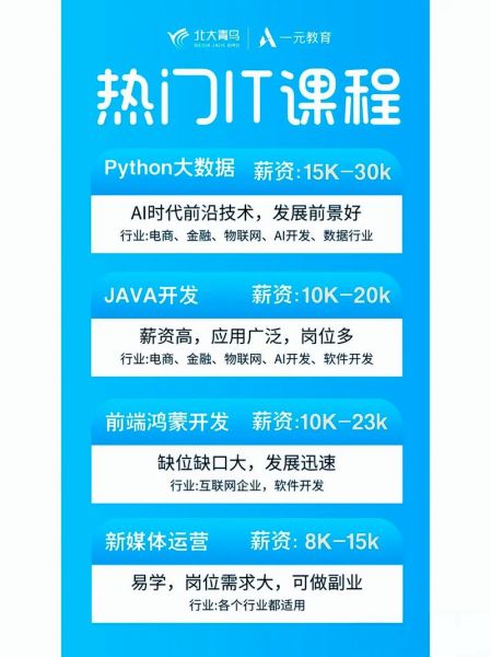 it行业需要什么技能_如何转行it