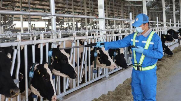 牧业行业前景如何_2024年养牛还能赚钱吗