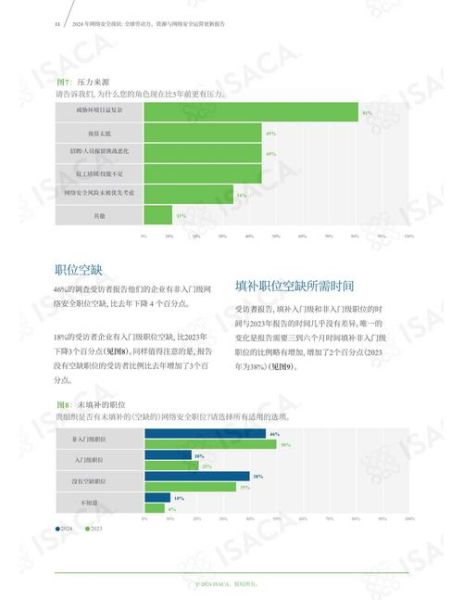 2024年中国网络安全现状_如何防范数据泄露