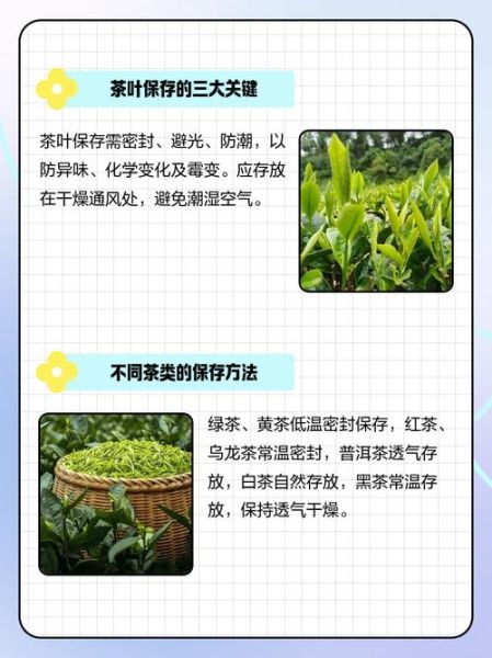 茶叶怎么保存_茶叶有哪些种类