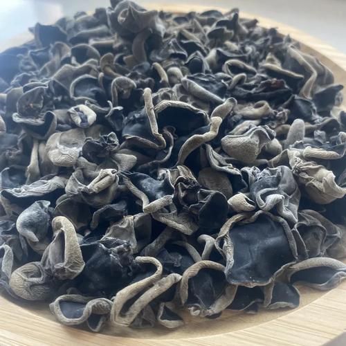 木耳种植前景怎么样_2024年木耳市场利润分析