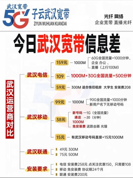 武汉互联网普及率_武汉宽带哪家好用