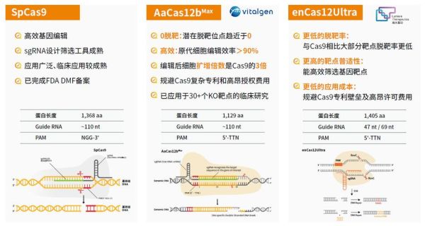 ips细胞治疗哪些疾病_ips细胞临床应用难点
