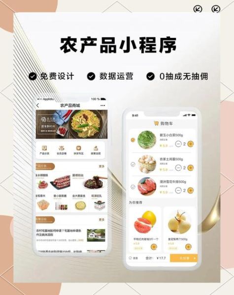 农村电商怎么做_农产品网上销售技巧