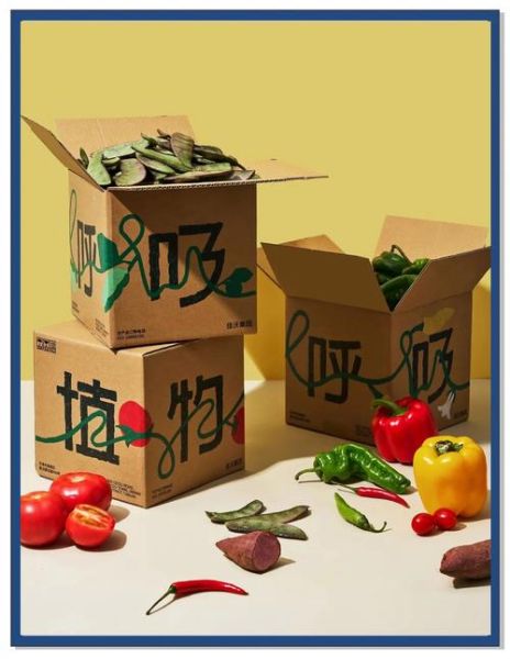 包装行业未来趋势_环保包装材料有哪些