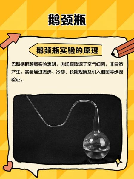 生物质能前景如何_生物质能发展瓶颈有哪些