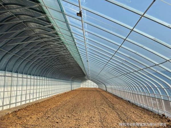温室大棚前景怎么样_温室大棚赚钱吗