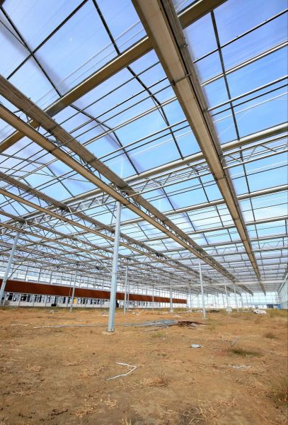 温室大棚前景怎么样_温室大棚赚钱吗