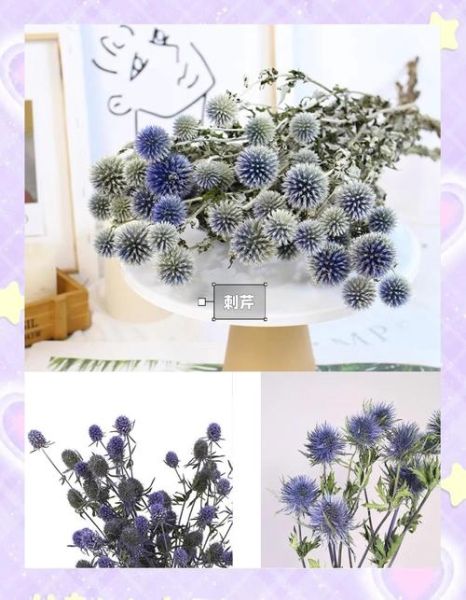 干花市场前景怎么样_干花生意赚钱吗