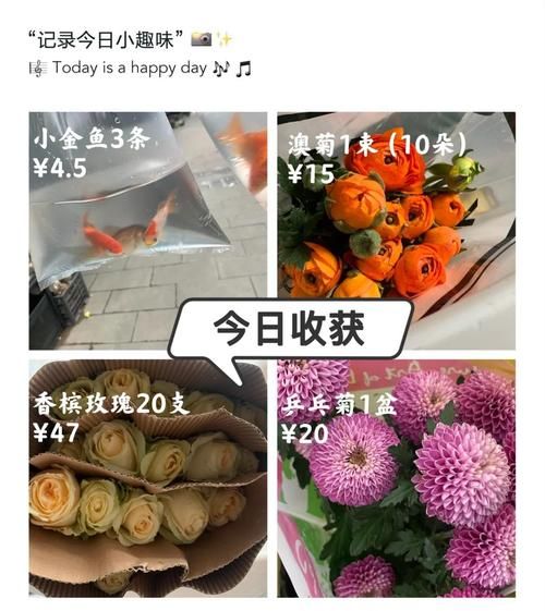 干花市场前景怎么样_干花生意赚钱吗
