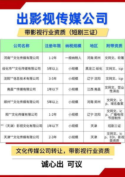 文化传媒公司前景怎么样_如何转型