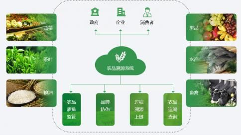 互联网农业怎么做_互联网农业盈利模式有哪些