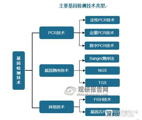 PCR技术未来五年发展趋势_PCR在精准医疗中的应用前景