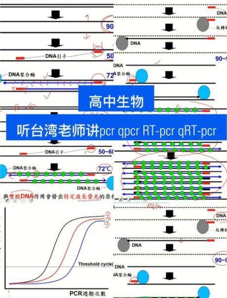 PCR技术未来五年发展趋势_PCR在精准医疗中的应用前景