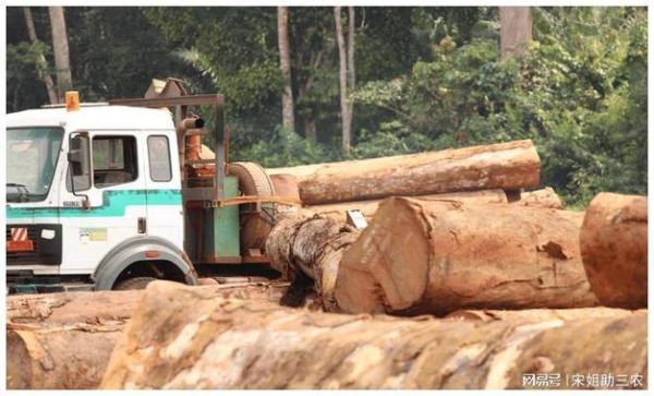 木材加工前景怎么样_2024年还能入局吗