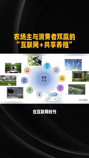 互联网加养殖发展前景_智慧养殖如何落地