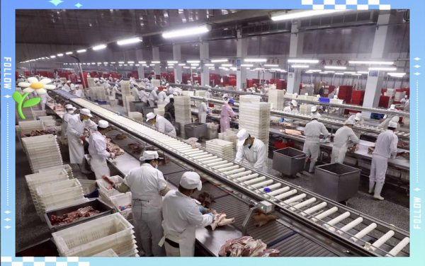 肉制品加工行业前景如何_肉制品加工厂怎么开