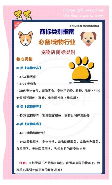 宠物行业前景怎么样_宠物店创业优势与风险