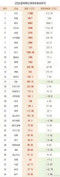 2013中国互联网企业排名_盈利模式有哪些