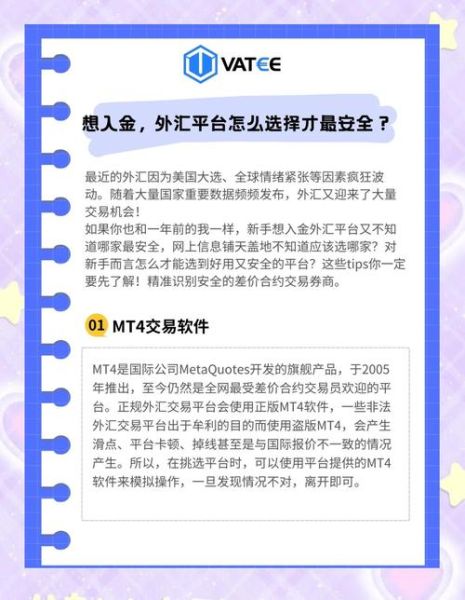 外汇交易平台哪个好_外汇杠杆怎么选