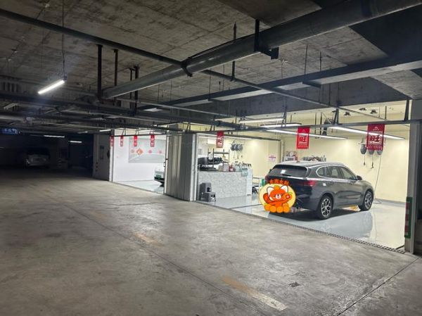 汽车装潢前景怎么样_汽车装潢行业赚钱吗