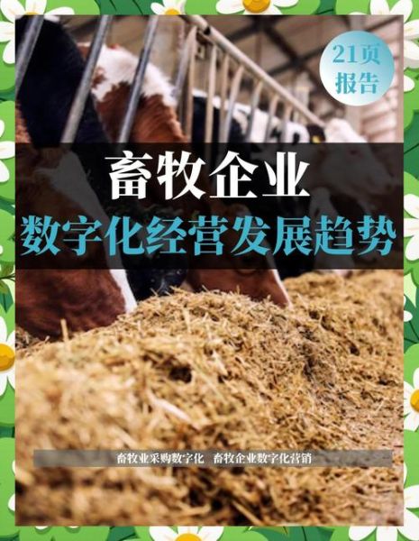 畜牧业发展前景怎么样_2024年畜牧业投资方向