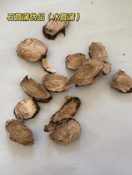 中药材网上商城哪家好_如何辨别真假药材