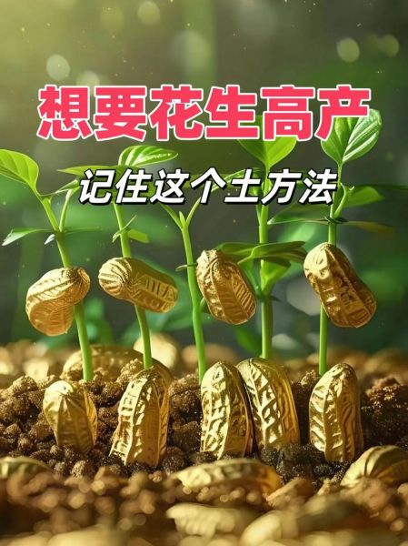 花生种植前景怎么样_花生种植赚钱吗