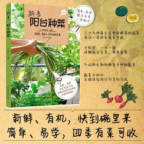 园艺新手适合种什么植物_阳台种菜怎么开始