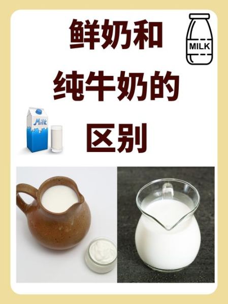 牛奶品牌哪个好_纯牛奶和鲜牛奶的区别