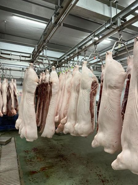 生猪屠宰行业前景如何_生猪屠宰行业利润高吗